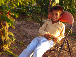 Nam Cau 053