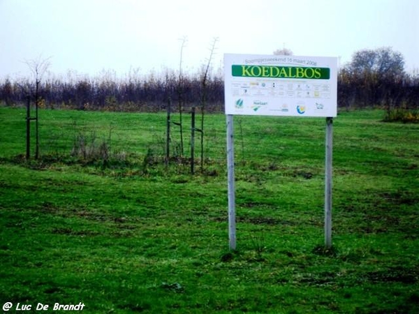 wandeling Hoeilaart