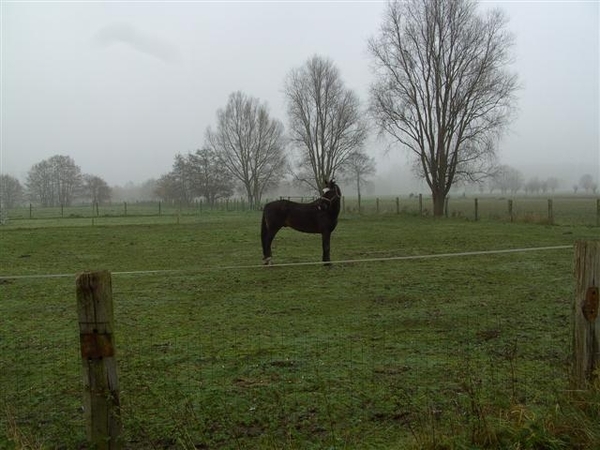 (011)20101121.Zwijnaarde