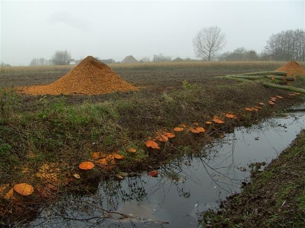 (014)20101121.Zwijnaarde