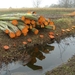 (015)20101121.Zwijnaarde