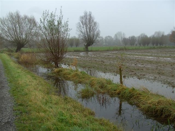 (019)20101121.Zwijnaarde