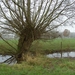 (020)20101121.Zwijnaarde