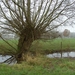 (020)20101121.Zwijnaarde