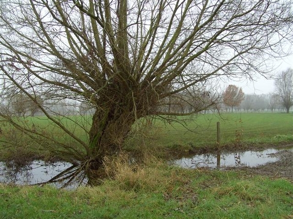 (020)20101121.Zwijnaarde