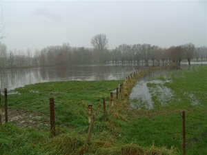 (023)20101121.Zwijnaarde