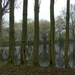 (027)20101121.Zwijnaarde