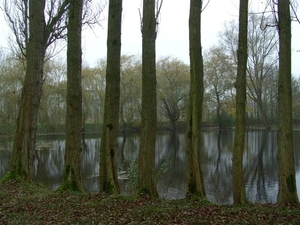 (027)20101121.Zwijnaarde