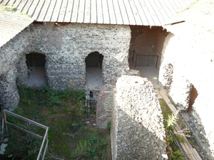 Palatijn