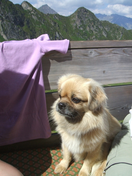 2006_0727lift-alpenrose0016