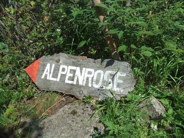 2006_0727lift-alpenrose0025