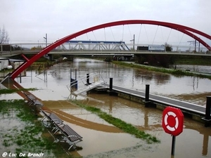 2010_11_14 Denderleeuw 06