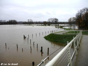 2010_11_14 Denderleeuw 10