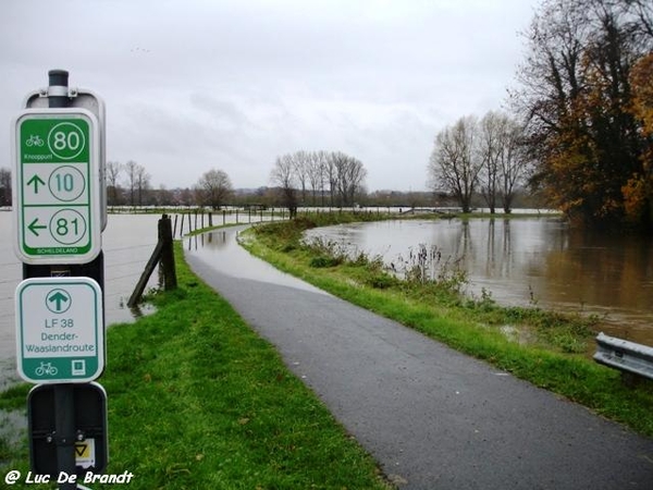 Denderleeuw overstroming wateroverlast