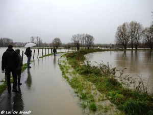 2010_11_14 Denderleeuw 22