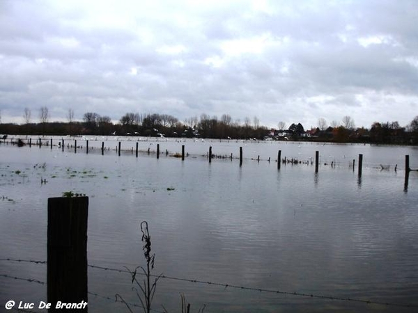 Denderleeuw overstroming wateroverlast