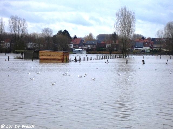 Denderleeuw overstroming wateroverlast