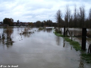 2010_11_14 Denderleeuw 34