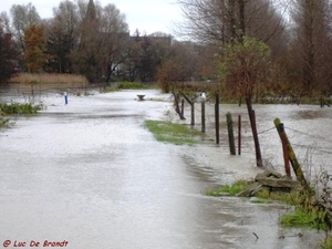 2010_11_14 Denderleeuw 35