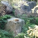 8b Saint-Felicien _wilde zoo  _P1010551