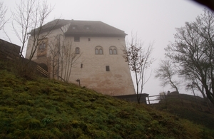 DSC07803