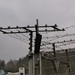 DSC07844