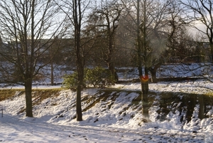 DSC07865