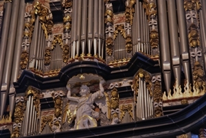 DSC07900