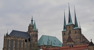 DSC07905
