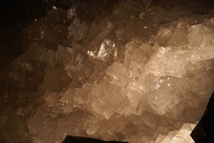 DSC07950