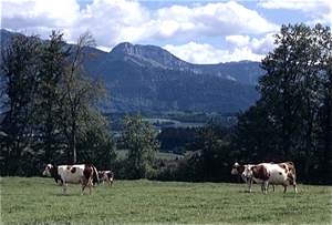 Haute-Savoie