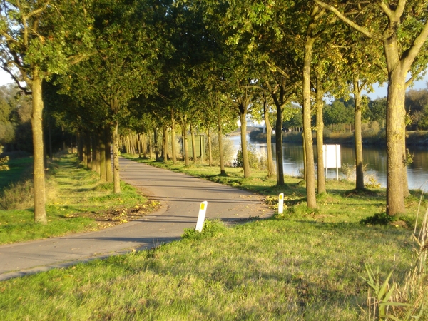 DSC03209