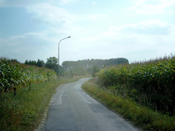weg in Vinderhoute