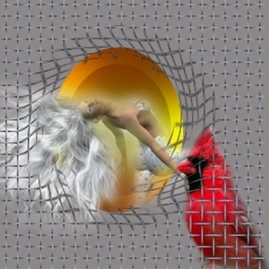 kippengaas dansereskopie