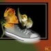 shoe bird