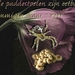 spin paddestoelkopie