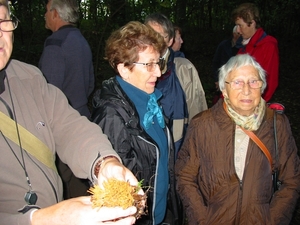 Paddenstoelen 006