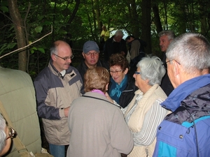Paddenstoelen 008