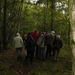 Paddenstoelen 010