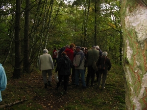 Paddenstoelen 010