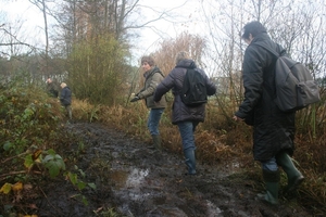 dagwandeling nov Den Bunt 005