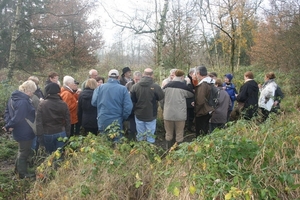 dagwandeling nov Den Bunt 013