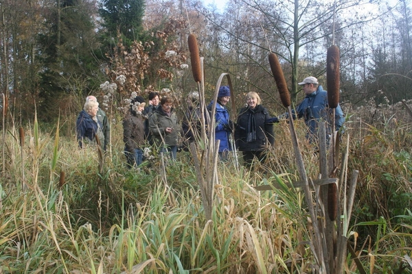 dagwandeling nov Den Bunt 015