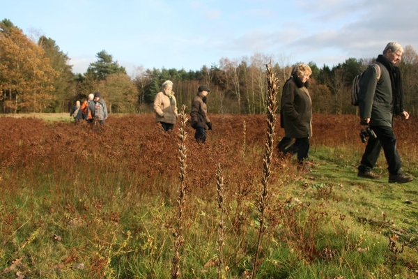 dagwandeling nov Den Bunt 045