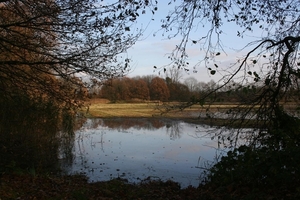 dagwandeling nov Den Bunt 050