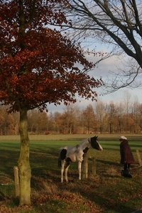 dagwandeling nov Den Bunt 057