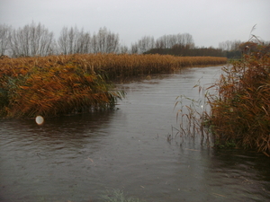 BILD0006