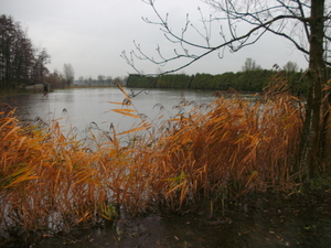 BILD0007