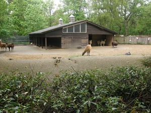 rhenenauwehand1.5.10 (34)