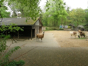 rhenenauwehand1.5.10 (36)